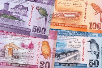 Die Währung von Sri Lanka ist die Sri-Lanka-Rupie